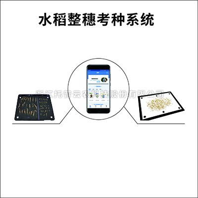 水稻整穗考種測量係統