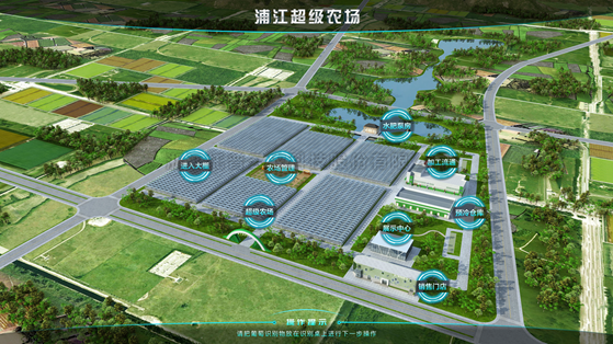 浦江超級農場：科技賦能讓種植更高效