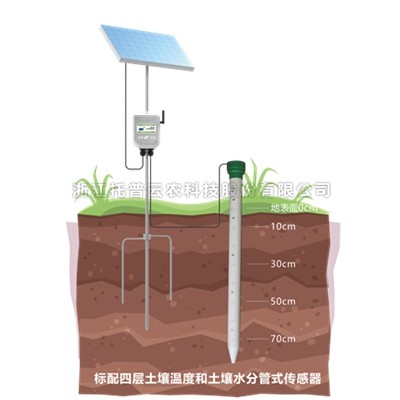 管式猫咪视频网站墒情監測儀