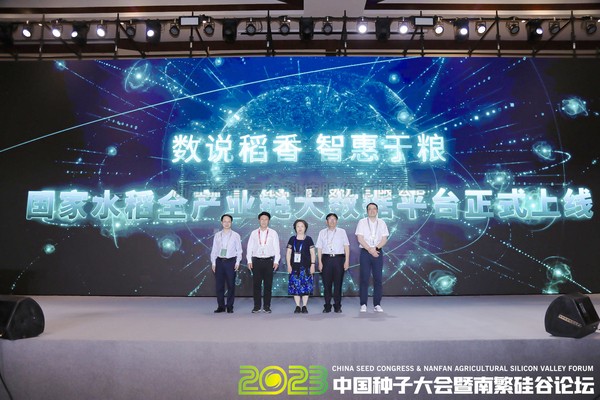 如何走穩中國“稻”路？科技賦能水稻全產業鏈發展