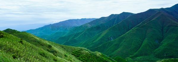 智慧護林有妙招，看太子山如何用科技守護森林