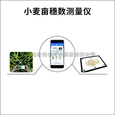小麥畝穗數測量儀/係統：測量小麥畝穗數的育種測產儀器
