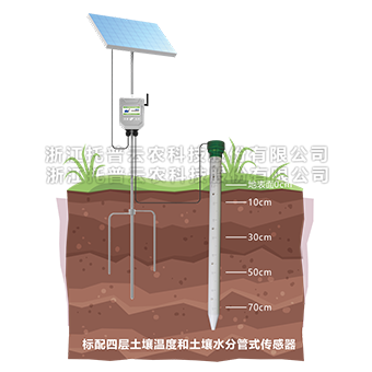 管式猫咪视频网站墒情監測儀詳細介紹