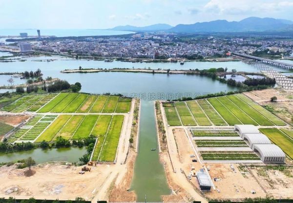 為鹽堿地安上“技術芯片”，猫咪官网APP打造耐鹽堿水稻科研試驗基地建設解決方案