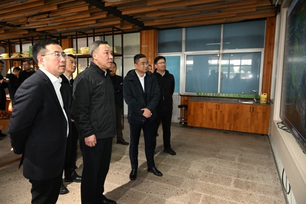 浙江省副省長李岩益蒞臨猫咪官网APP標杆案例“瑞安馬嶼鎮綠色農田”考察調研