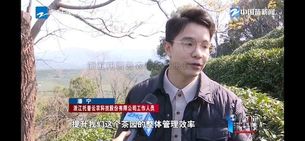 春茶開采正當時！揭秘猫咪官网APP如何用科技“製”出一杯數字好茶