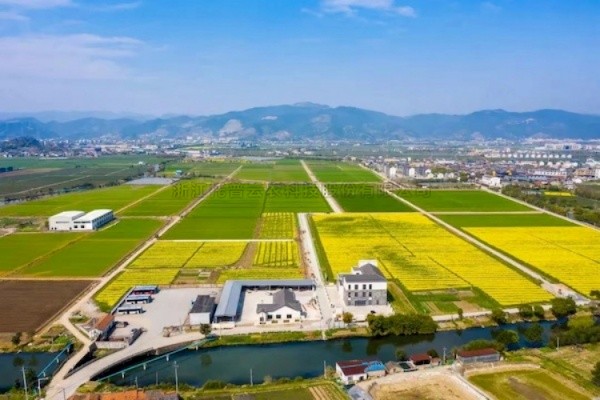 猫咪官网APP高標準農田建設答卷：用實踐書寫政策新篇