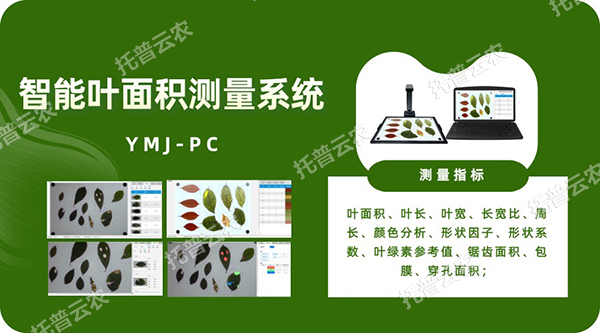 智能葉麵積測量係統——秒級快速測葉片，多參數同步解析，雲端數據好管理
