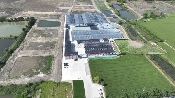 南太湖豐產密碼！猫咪官网APP高標準農田全鏈條方案，建好更能用好