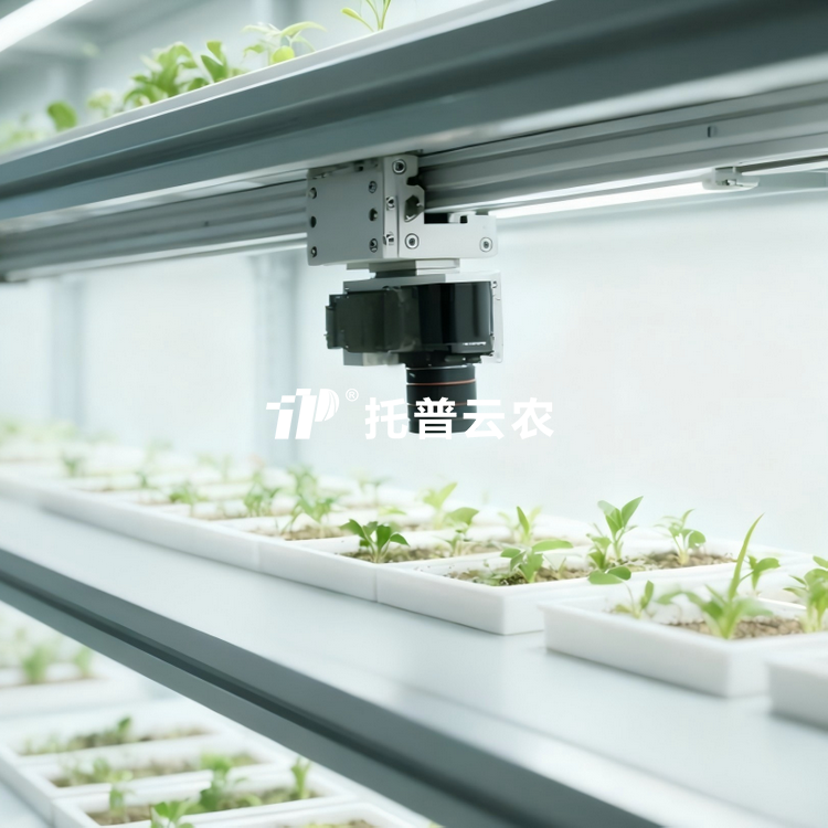 室內猫咪成人APP社区萌發表型監測係統TP-SeedPhy