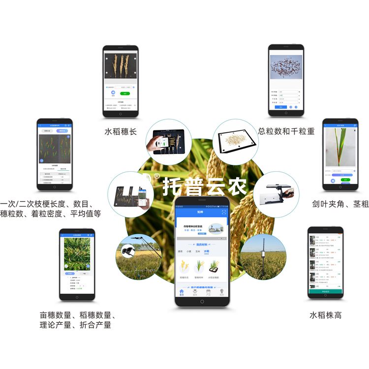 水稻表型檢測係統TPS-BX-2