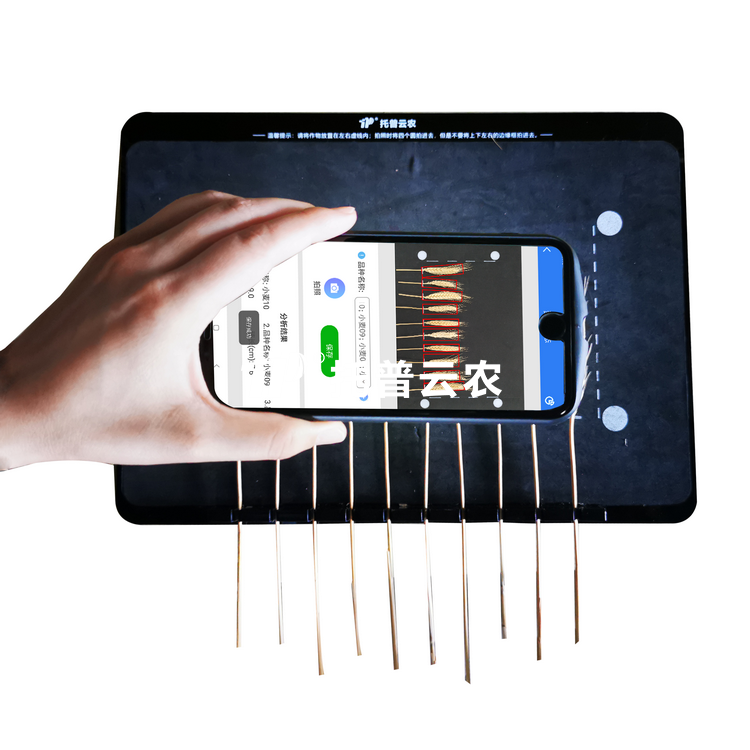 麥穗形態測量儀TPMS-X-1