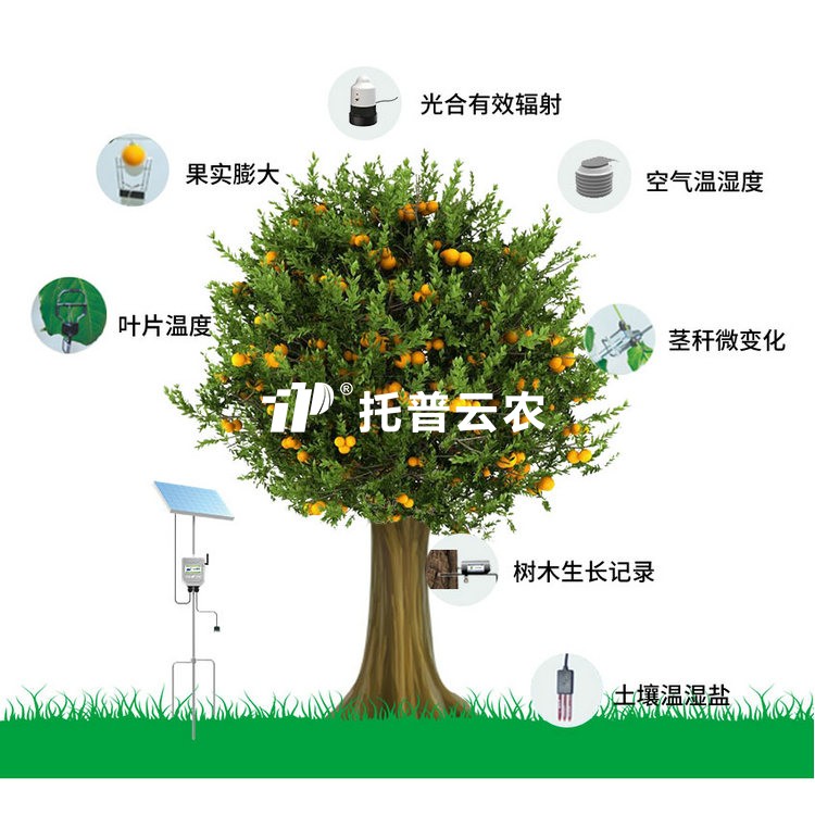 植物生理生態監測係統TP-ZWSL係列