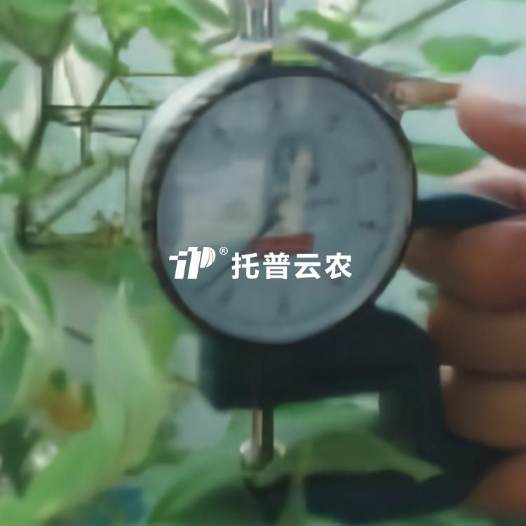 葉片厚度測定儀YH-1