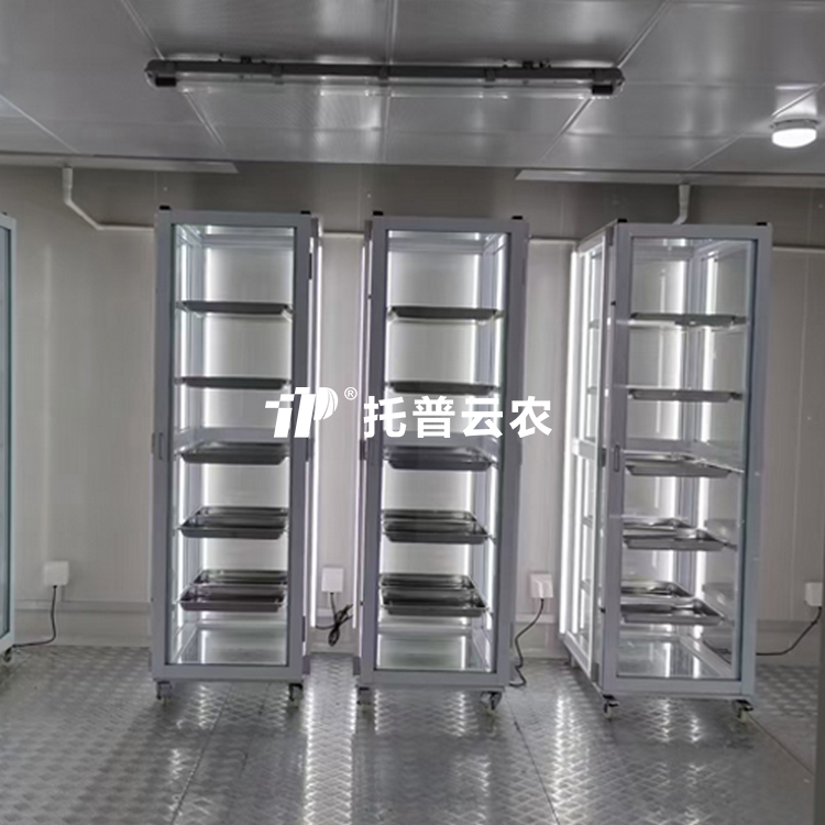 猫咪成人APP社区發芽室/