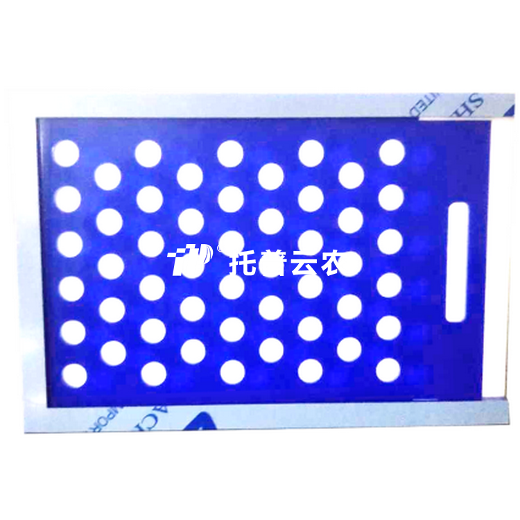 大粒猫咪成人APP社区置床板SZ-3