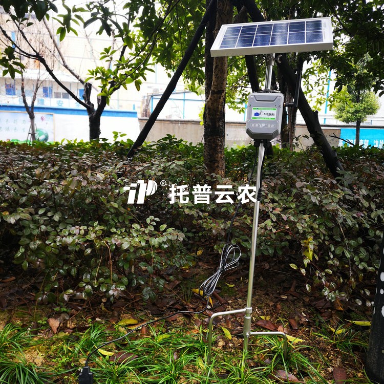 在線猫咪视频网站水分溫度鹽分測定儀TPFS-WSY係列
