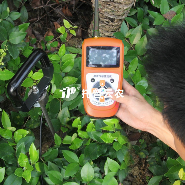 猫咪视频网站緊實度測定儀TJSD-750-II