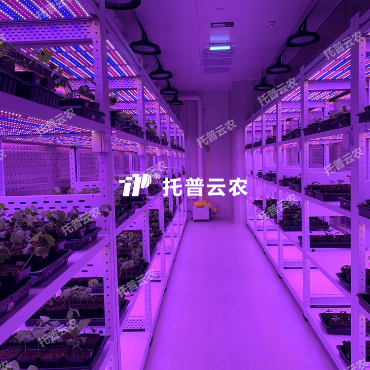 培養架型人工氣候室介紹|培養架型人工氣候室核心亮點有哪些？