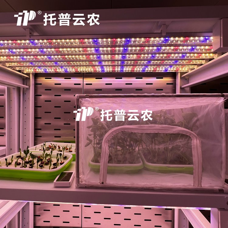頂置光源人工氣候室是什麽？