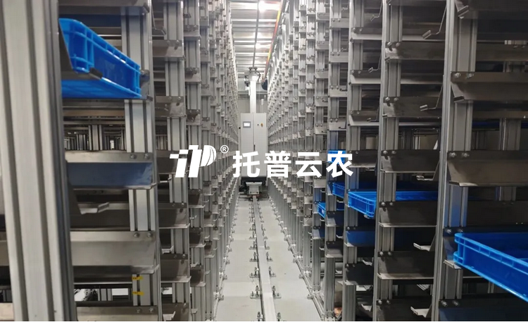 種質資源庫建設方案（2026年）【含建設標準】