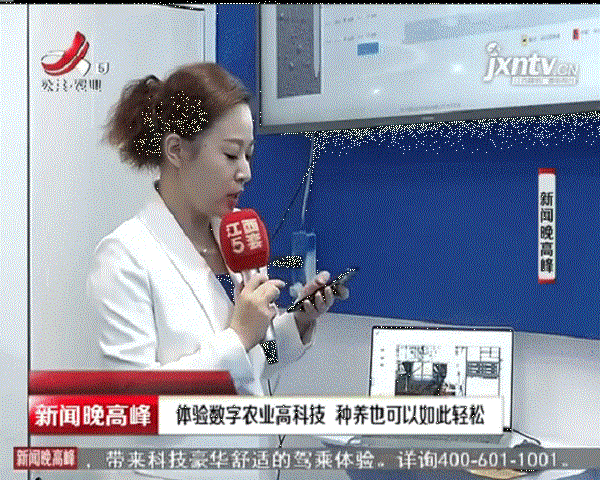記者演示猫咪官网APP物聯網設備的遠程操控功能 記者演示猫咪官网APP物聯網設備的遠程操控功能