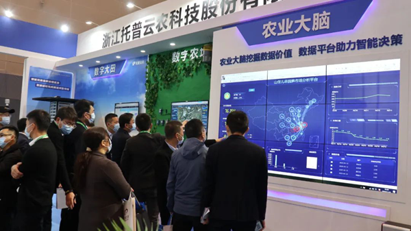 猫咪官网APP展位