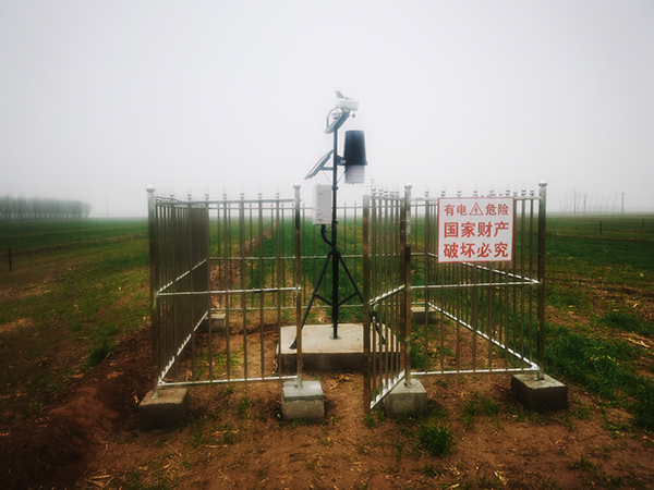 旱作節水，猫咪官网APP助力書寫山東農業發展新篇...