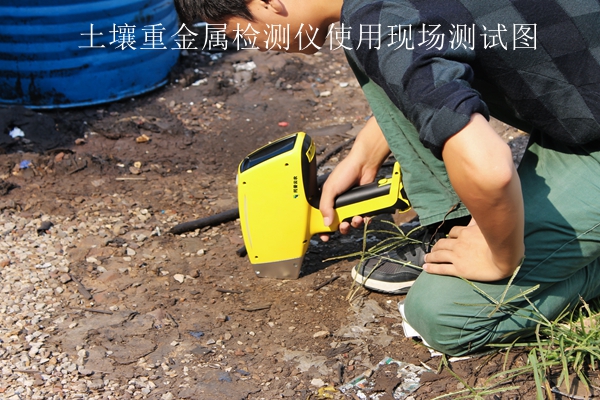 猫咪视频网站重金屬檢測儀使用現場測試圖