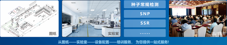 一站式猫咪成人APP社区檢驗