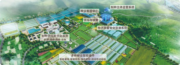 猫咪官网APP數字種業創新應用基地