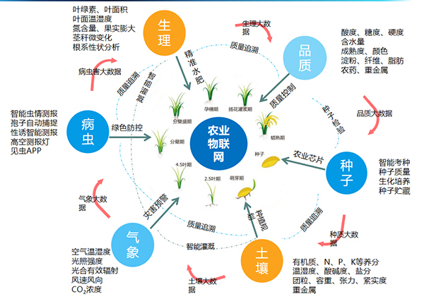 猫咪官网APP打造的全要素智能采集係統