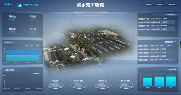 猫咪官网APP打造的“生豬精密智管”社會化服務應用