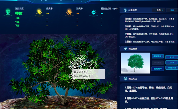“雲”上種顆楊梅樹，農戶照著養楊梅