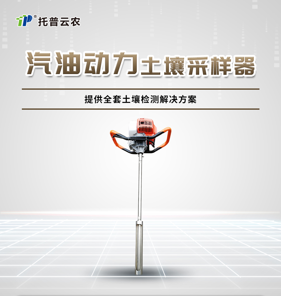 汽油動力猫咪视频网站采樣器