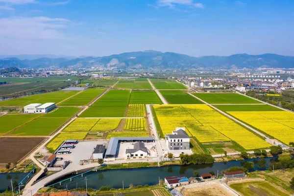 3寧波海曙古林數字大田.jpg