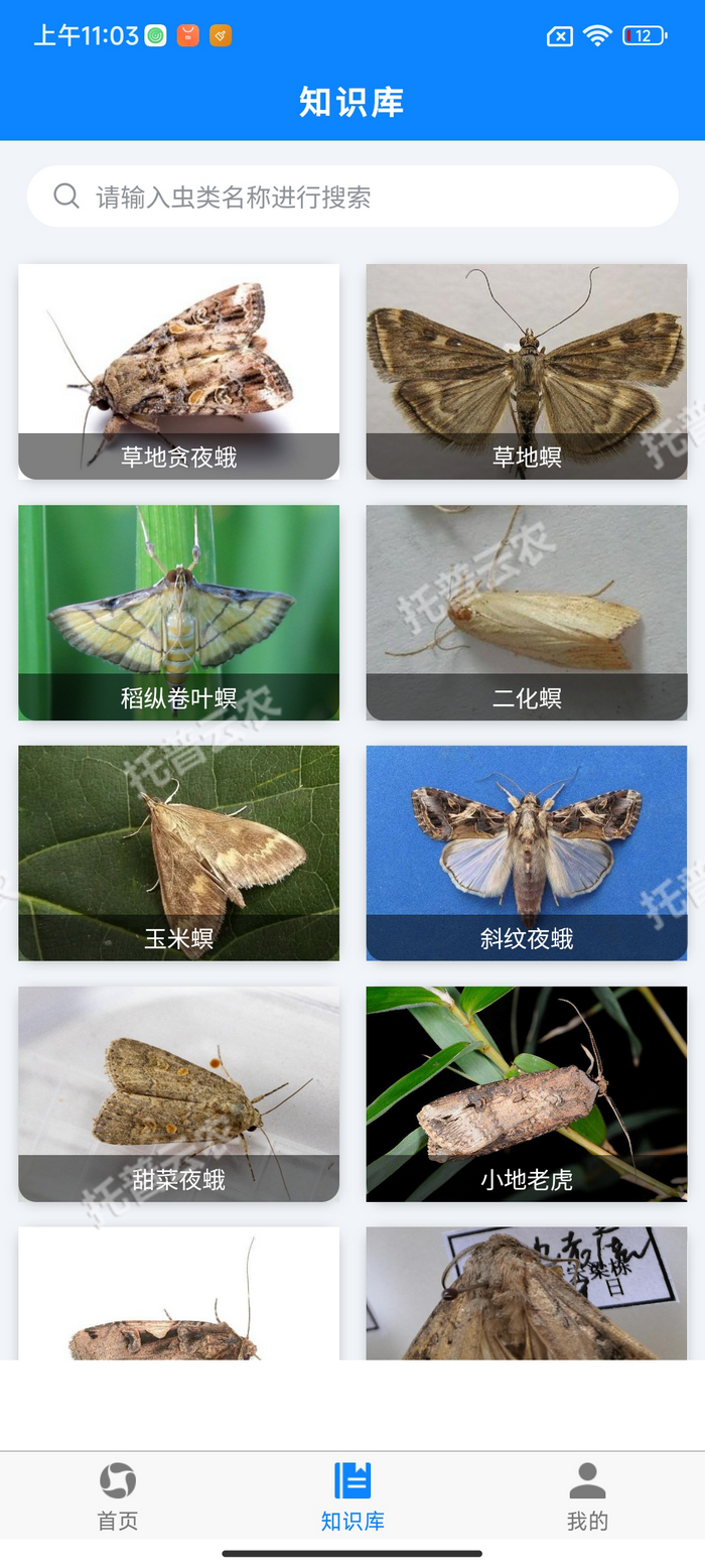 5、害蟲知識庫.png