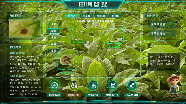 煙草病害識別.png