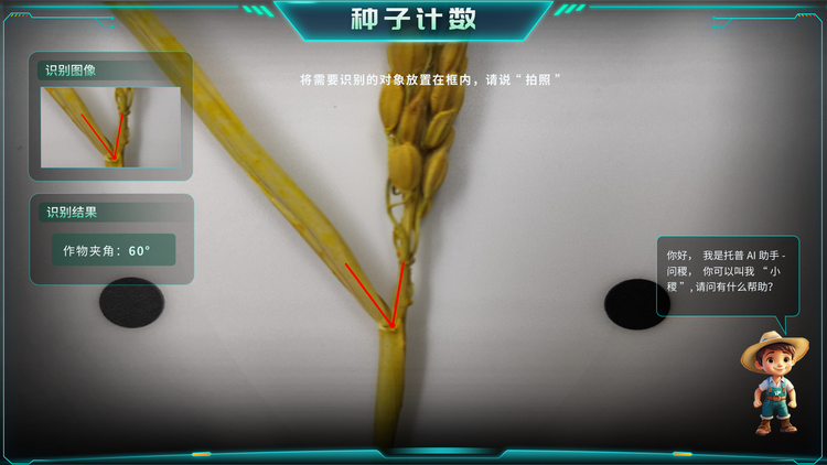 作物夾角.png