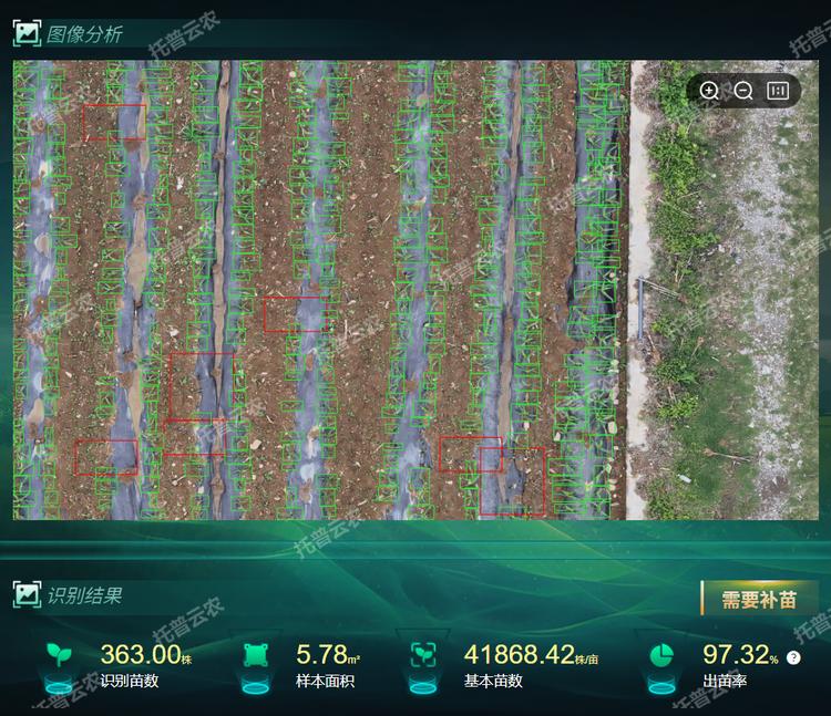出，苗率.png